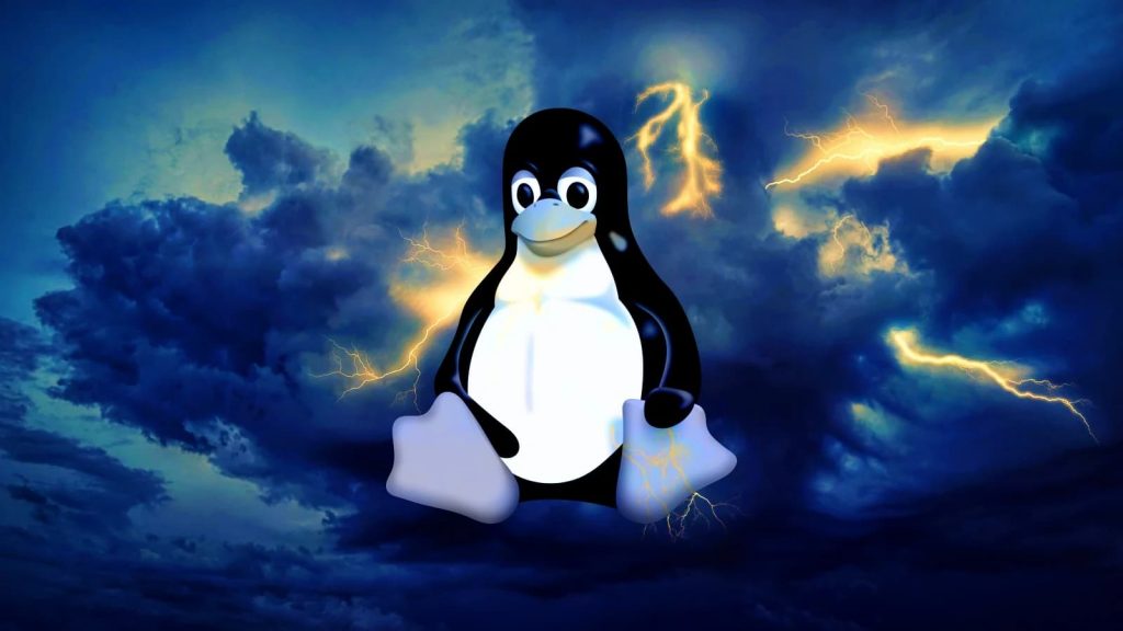 Nowy botnet RapperBot atakuje serwery Linux i urządzenia IoT